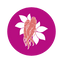 Hồng sâm