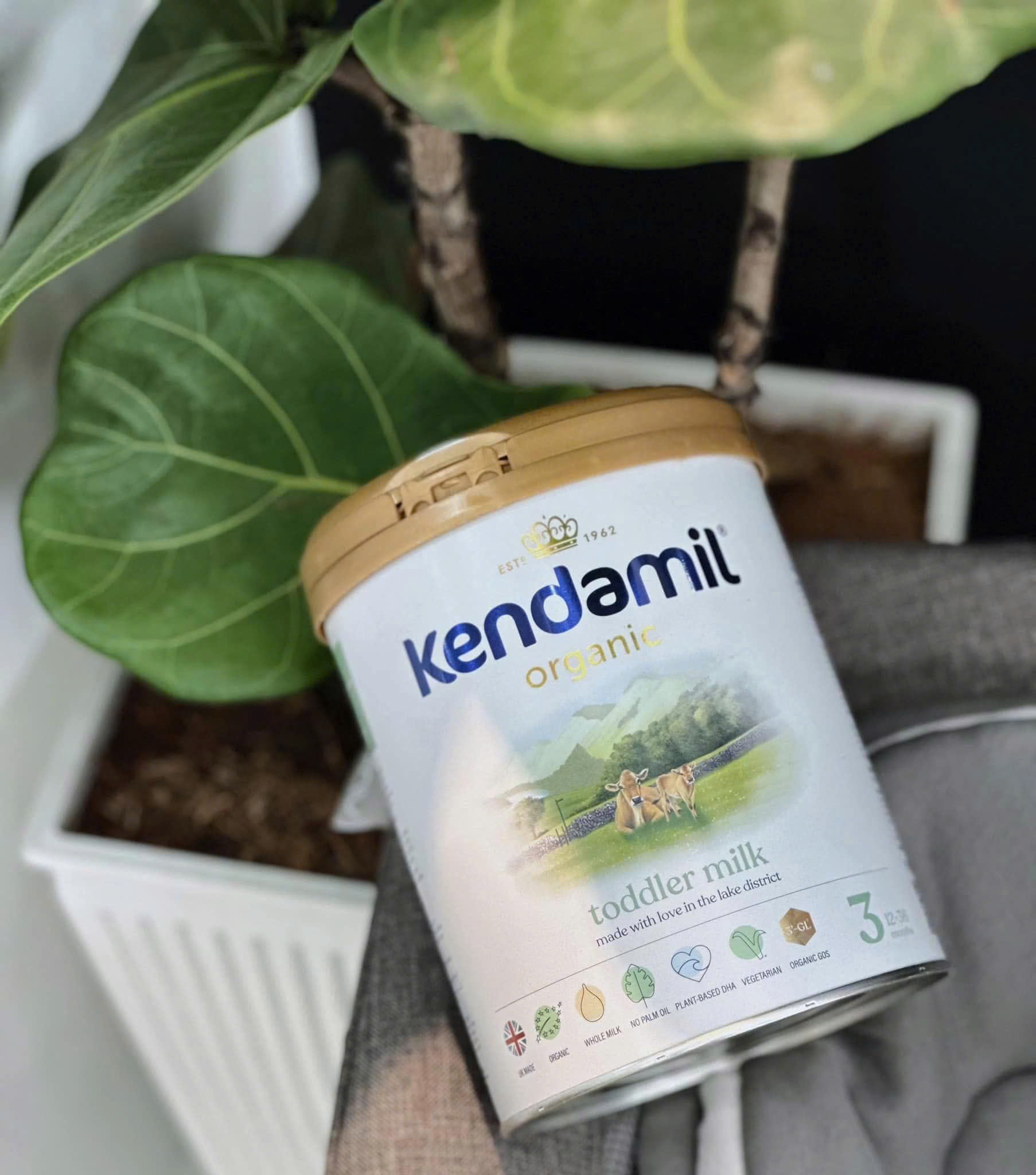 kendamil organic 770k